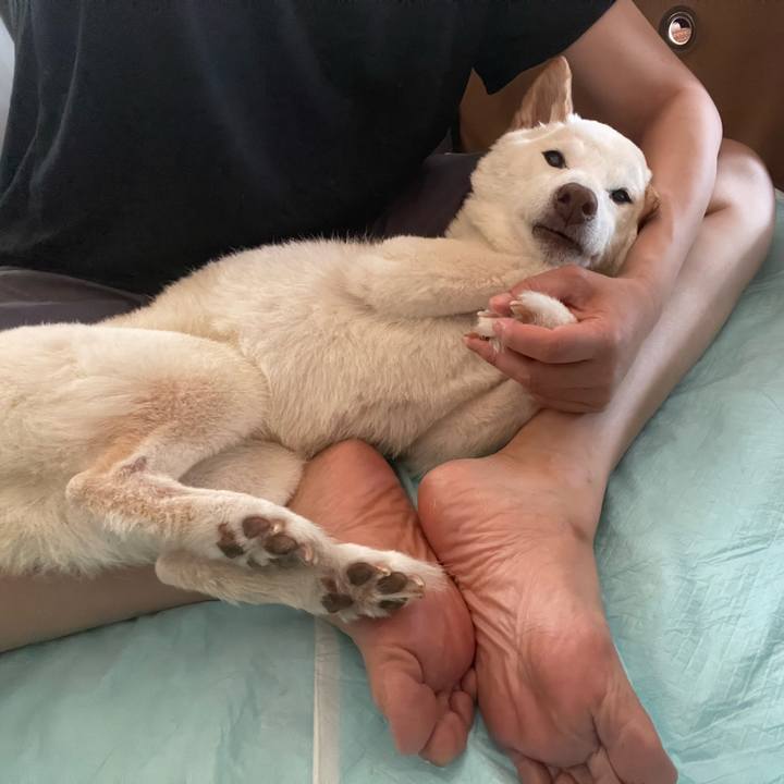 0dddfdac c1e1 4071 97ea c0a0f9320a74 1656739204056