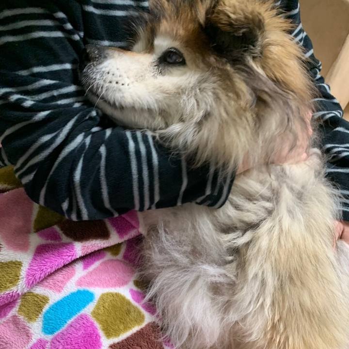 0dde0ff0 98b6 4a21 865e d557811b4502 1590971651966