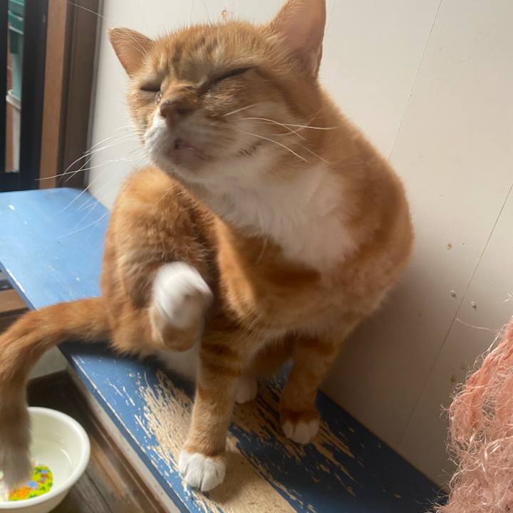 0dde1182 f0b1 4580 a9ff 79d6c2d7b632 1631417965083