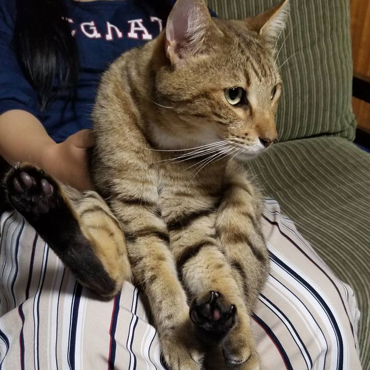 0dde1a96 c7fb 4fa6 b62a 8d0d71b2af33 1690546033030