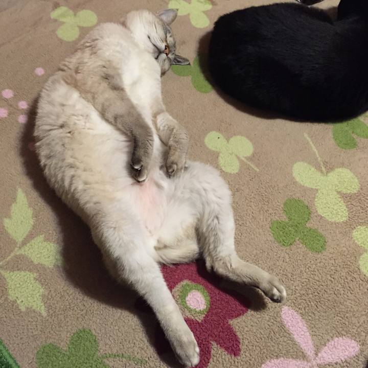 0dde1d55 b354 435e 8f27 c1a75ff067ce 1546775844628