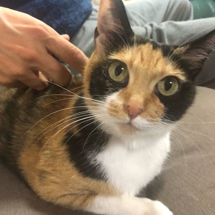 0dde34c2 d1ef 4a59 92fe c0aa50cbf769 1572443625074