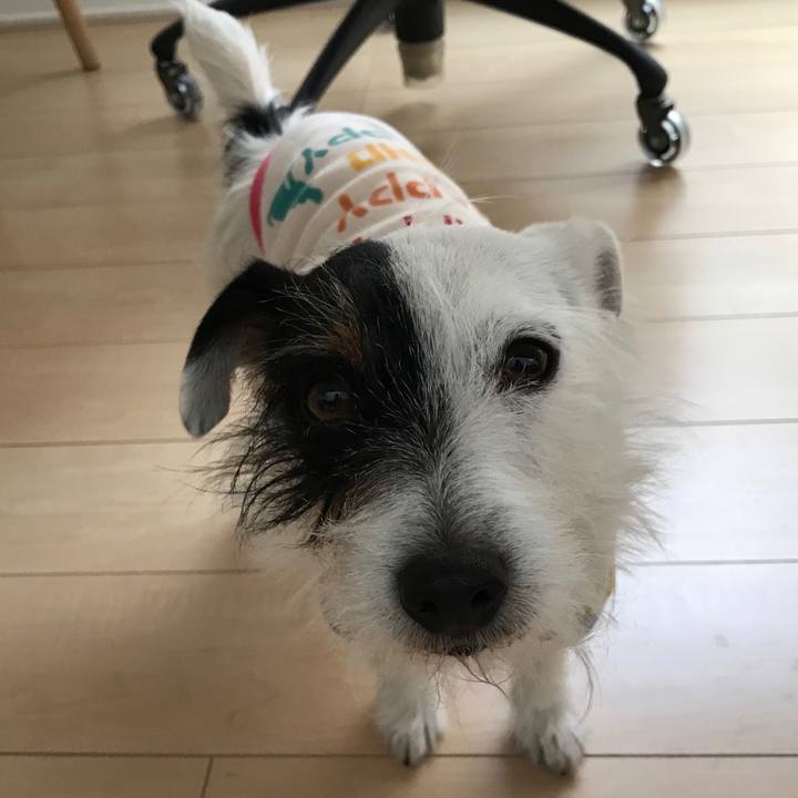 0dde48ac e390 4bc1 83c3 74e2e54da08d 1515110281311