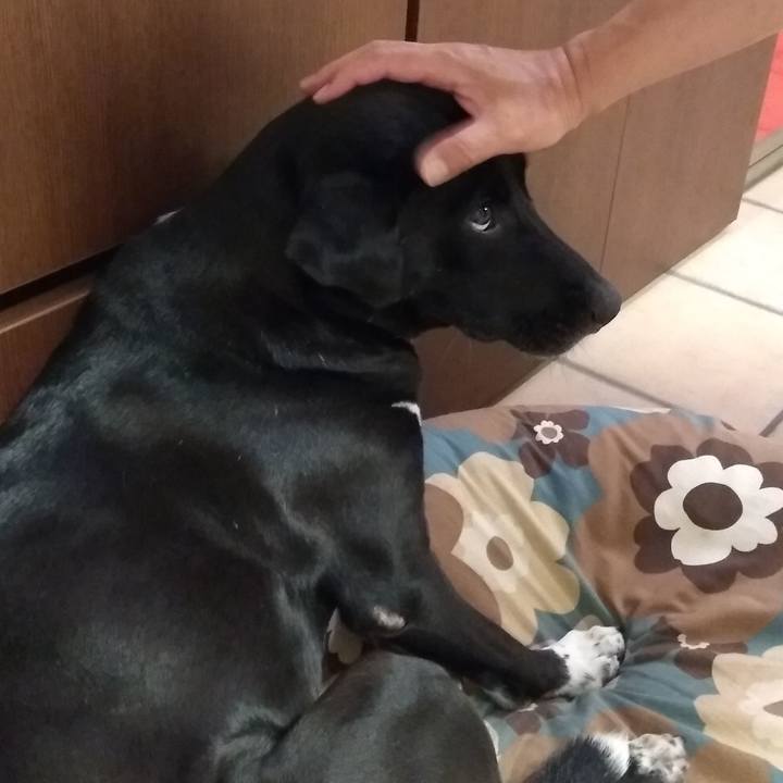 0dde81a3 725a 4c03 abef 14ff05013fa2 1598697201669