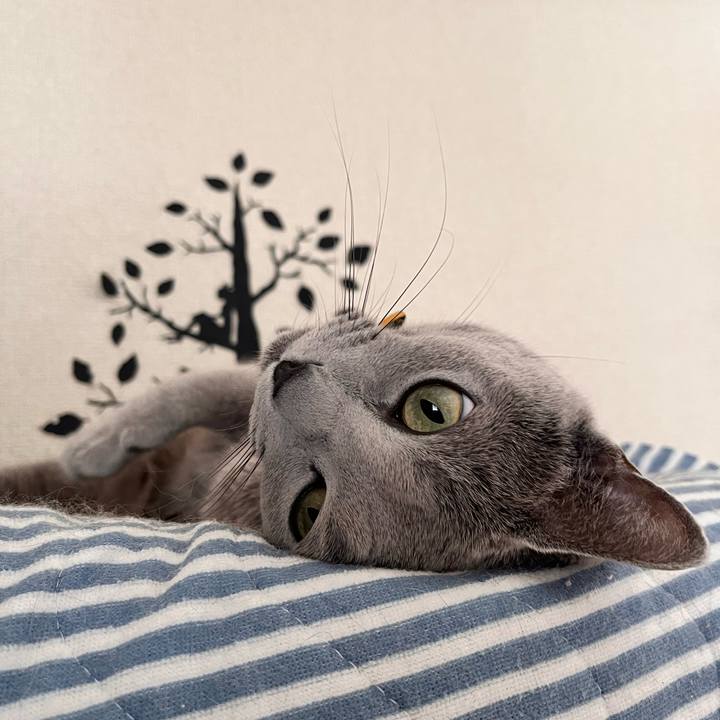 0dde8f08 e85e 4753 96a8 c90ec74a4604 1673868657471