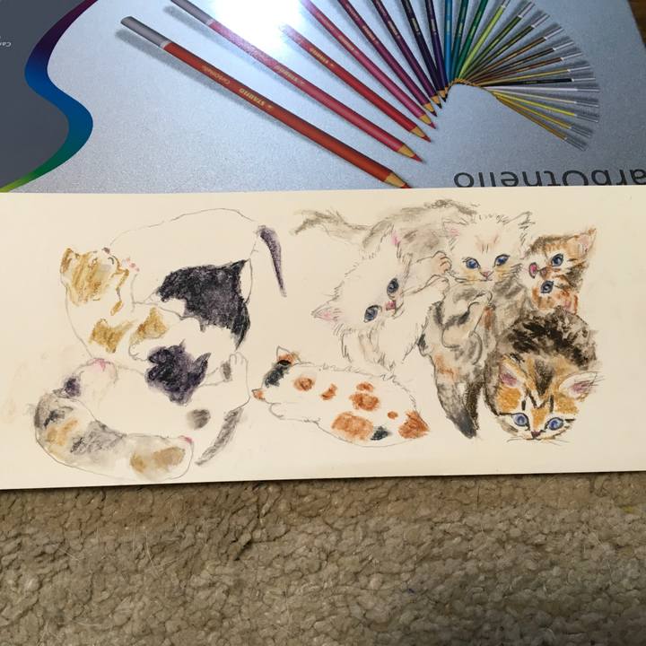 0dde91d6 c79e 4993 84f2 c71ecda3e0f3 1599669625447