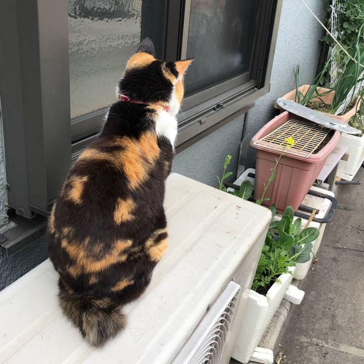 0ddeafaa 1b28 4480 af7d bd877ef74b94 1620573253663