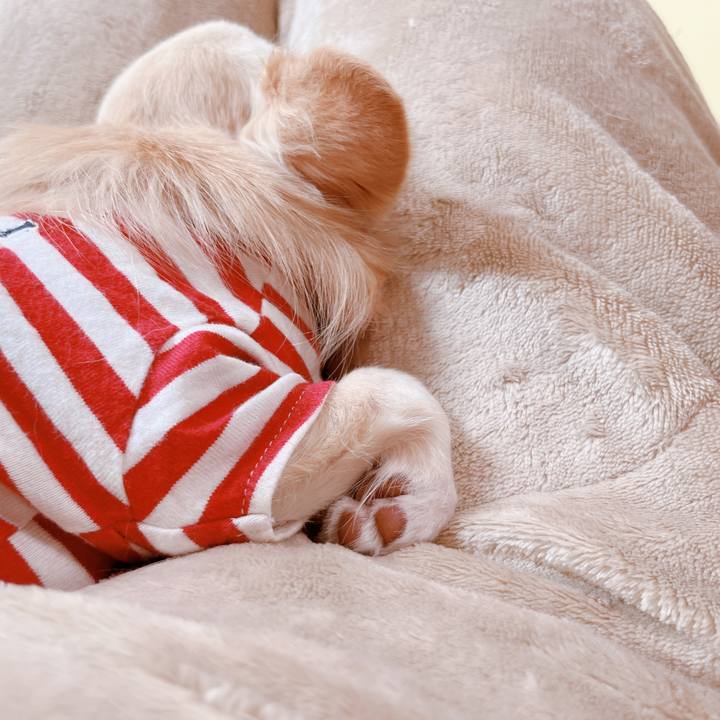 0ddec0c7 a22d 4858 89f2 e81f544b726e 1665793427659