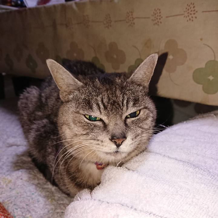 0ddec617 bdde 483c 86b7 525ef4270bc0 1585426872125