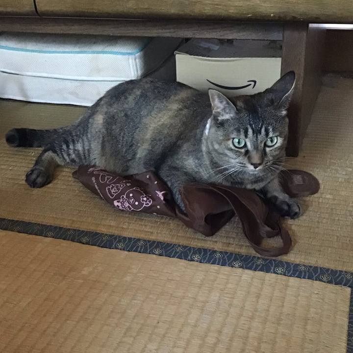 0ddec800 4d52 430e a319 a65626b81431 1720086833878