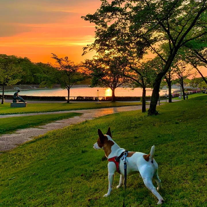 0ddec8bc acac 441e ac8e 869677435f66 1556795021651