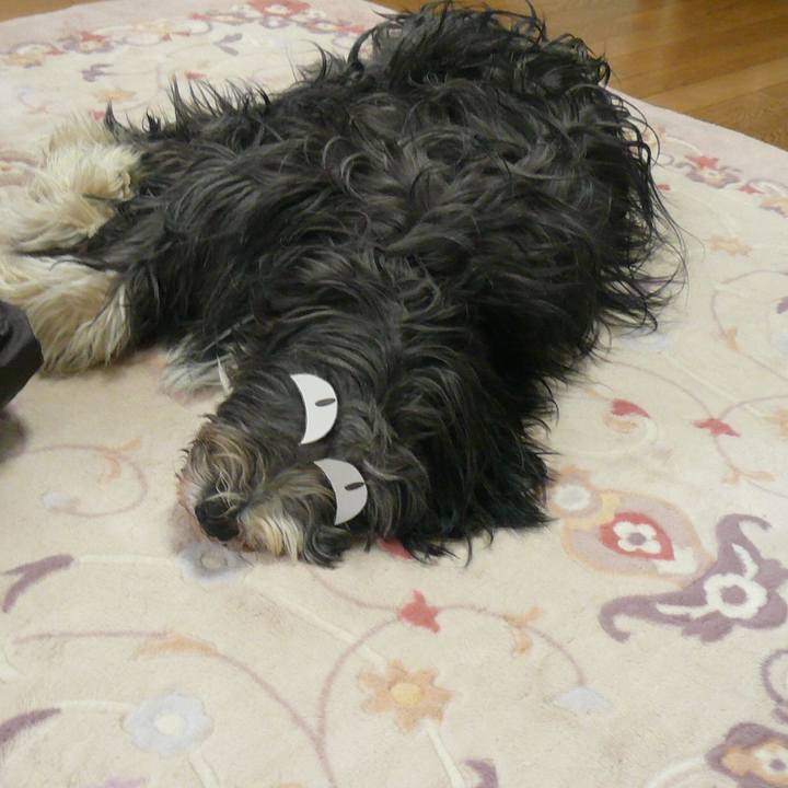 0ddf1970 f7d6 47cc bda1 5d825a2734b3 1515489307615