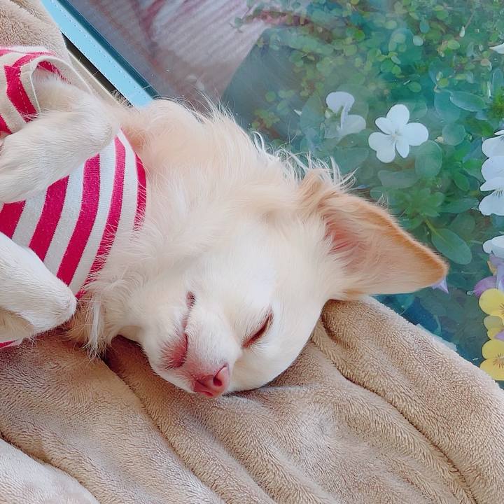 0ddf2882 2886 49be b56c 10a9fcfd247c 1704541578039