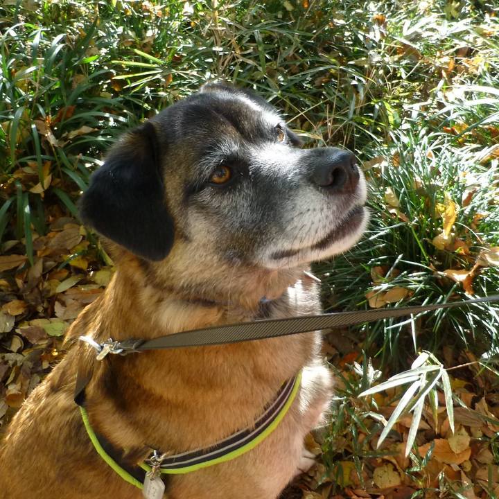 0ddf2dd4 3d2e 4051 aeb2 77fa462cd736 1581072400910