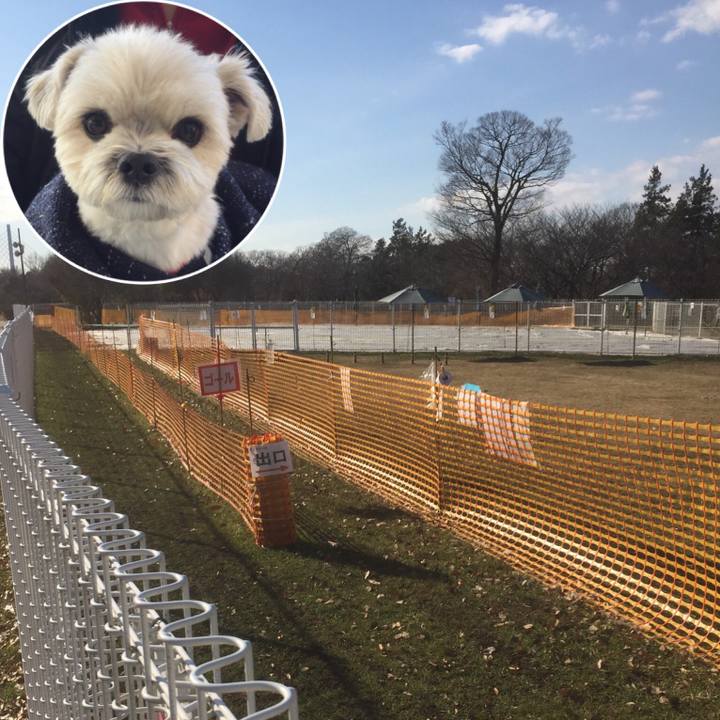 0ddf7f71 10a7 472d 8665 e184c3b26386 1513576750914