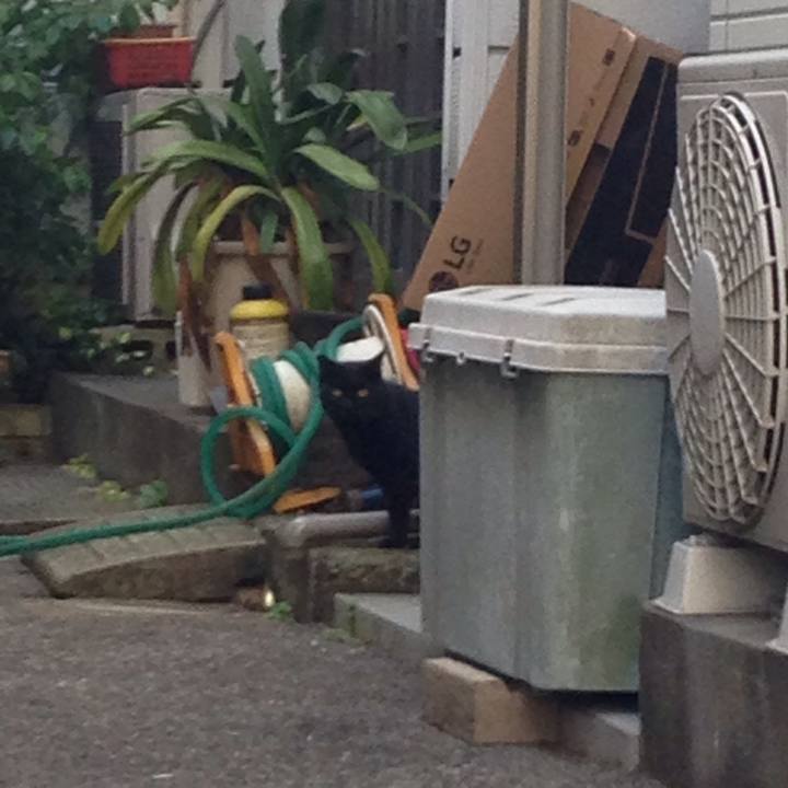 0ddf822d b72b 4010 9b6e 64cd13e31ccf 1513797687744