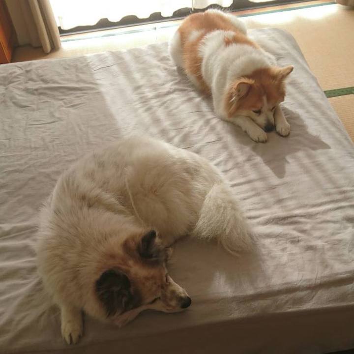 0ddf9ee9 7c24 4ec5 8112 72b9afc3e761 1673174853015