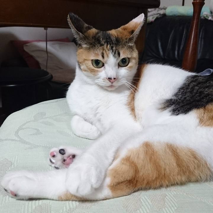 0ddfba1e 59cb 42bb 8260 847614bd930d 1525443606345