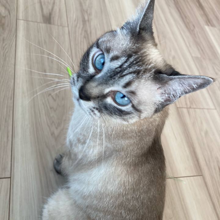 0ddfbd75 fd05 41ae b47e dfb41089275c 1715843195213