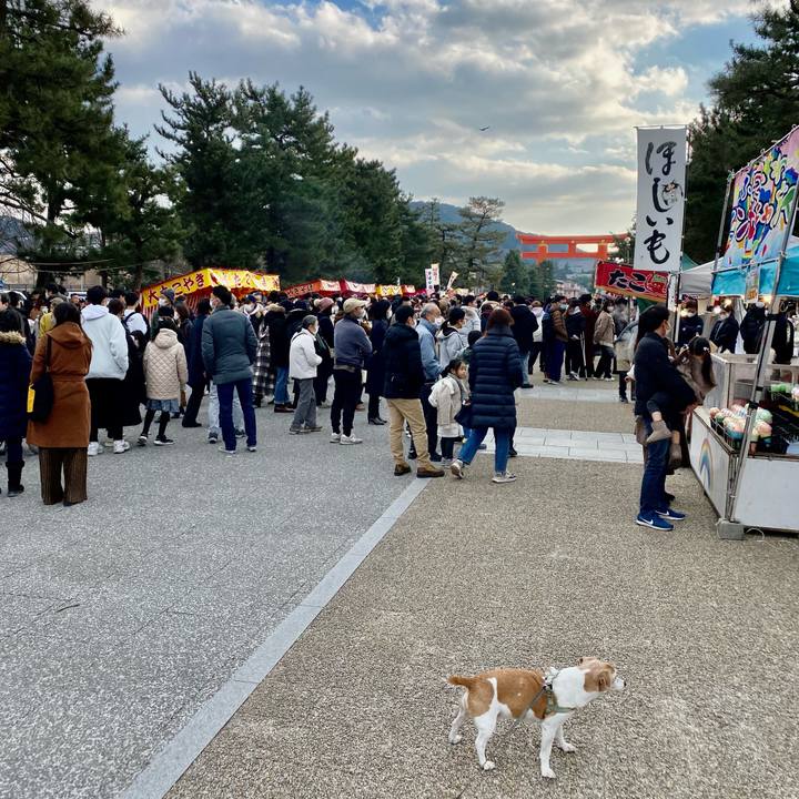 0ddfd3f6 34e7 4a95 8789 17c764447a75 1672554811847