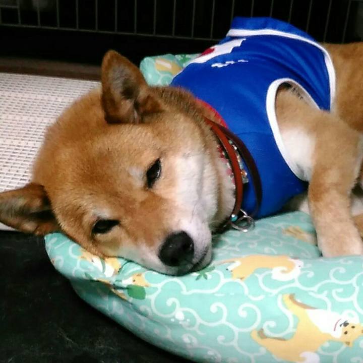 0ddfed53 2f31 4be3 adb6 76349352ba52 1530198065231