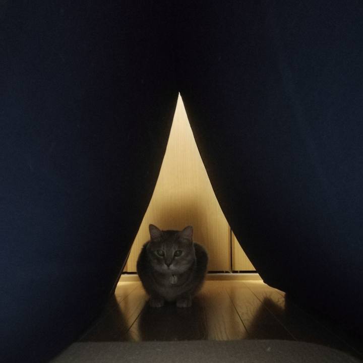 0ddfff29 3722 437c a767 0561e292a07d 1539871158610