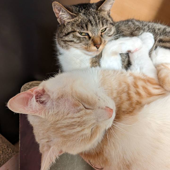 0de02a7a 24fd 4533 b8b0 c4bafe5ce04c 1714660399020