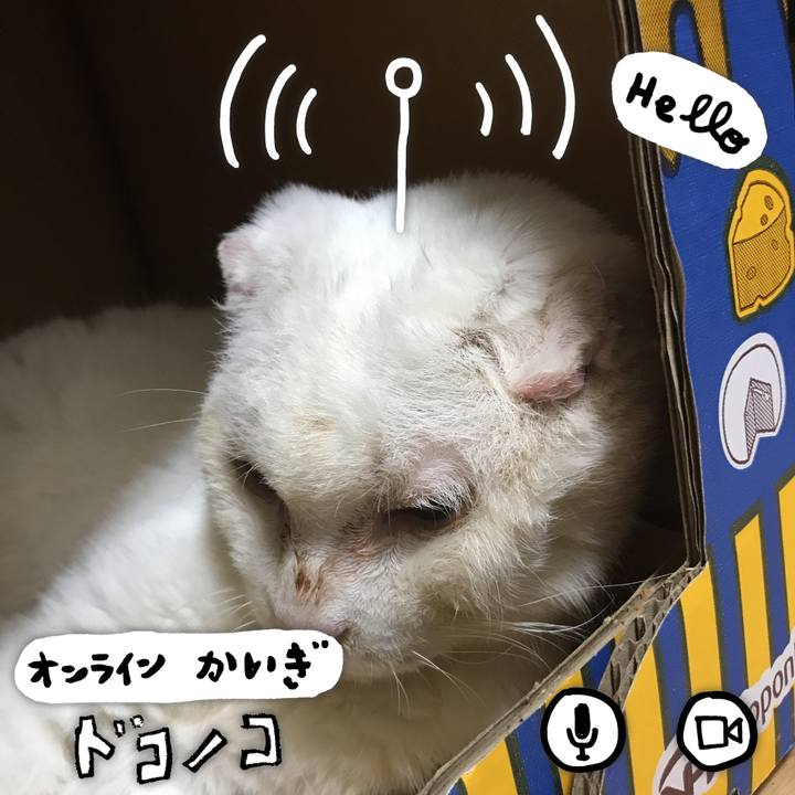 0de04619 caa4 4ee3 9336 da35f18d77d4 1592771754455