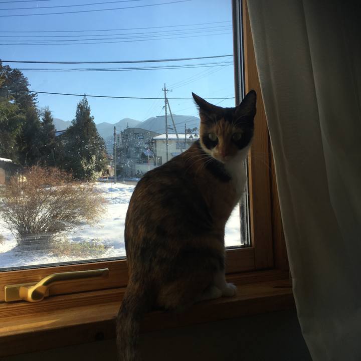 0de05a5f d060 4906 ab48 4dc936649d6b 1513746240468