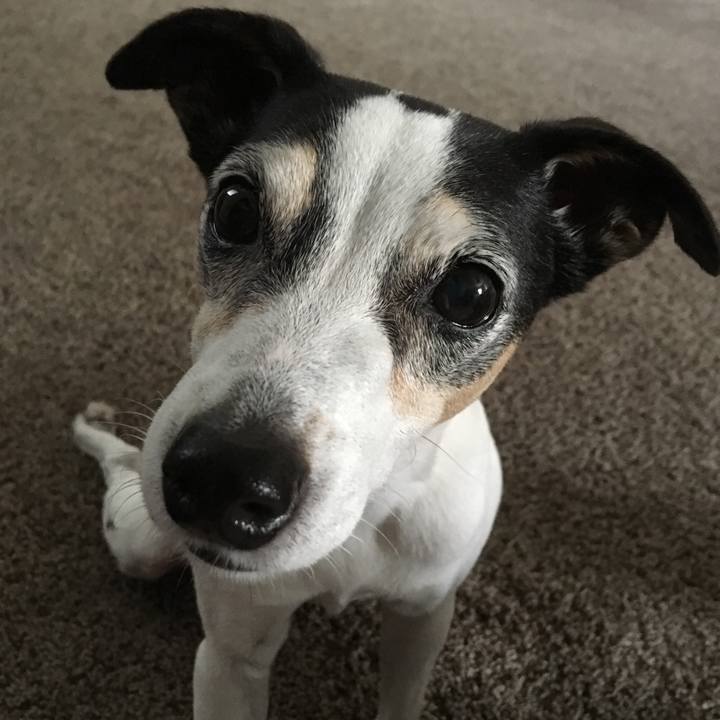 0de0686c bb20 41ae aa10 7036fbc535e9 1566944279138