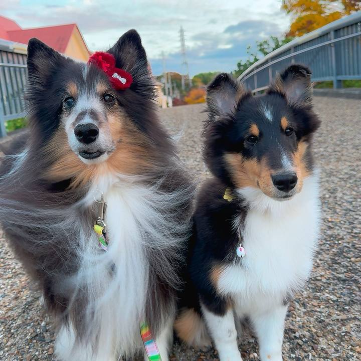 0de09bfe 7b0c 4725 ae21 354361eaa09f 1732381605517