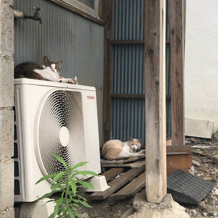 0de09c64 4201 4008 9856 dcde3b0b6d6a 1560604528048