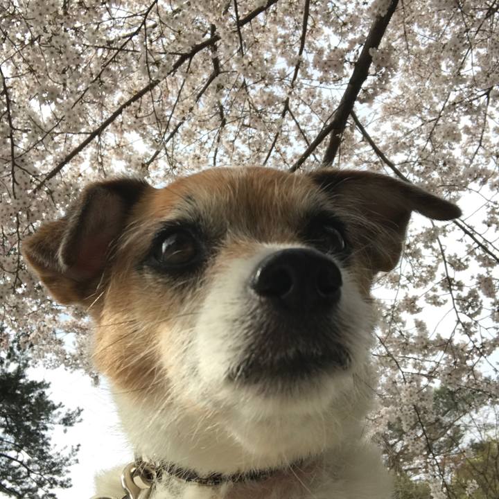 0de0e14a 744a 48f6 8ab7 5d944f103b89 1585271192898