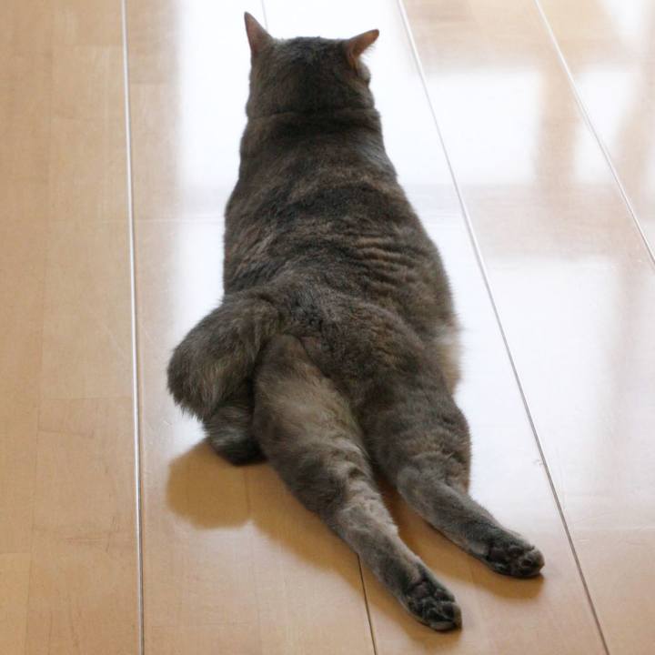 0de0ff14 20f0 4239 ae75 3b8c0b888eeb 1561019122977