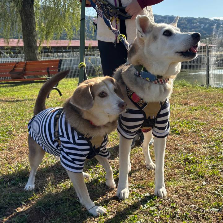 0de100c1 0e37 4f62 ad60 7cba65ac37ae 1762588534207