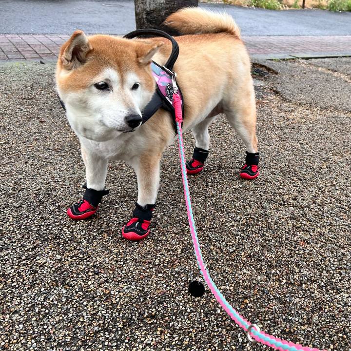 0de106a5 67bd 48cf a8f6 9aed3778dd8b 1732171018368