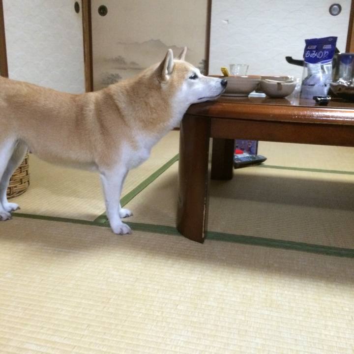 0de12b0b f223 481e 9d51 dfe7bf204fa1 1526484428229