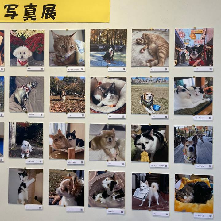 0de14557 4955 437f 8d5a 341248f160d2 1766232310317