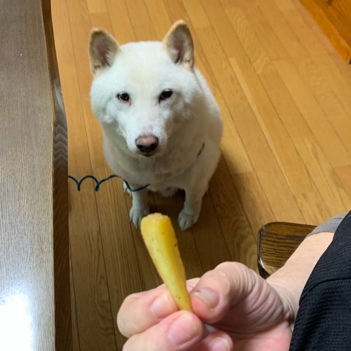 0de16c0f c2cc 4884 887a 20ceda7a7b1b 1602289498907