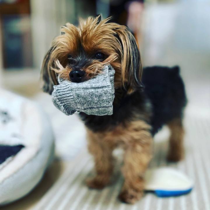 0de1a026 c21a 46b7 8f05 ced5d6a837a7 1675740781244