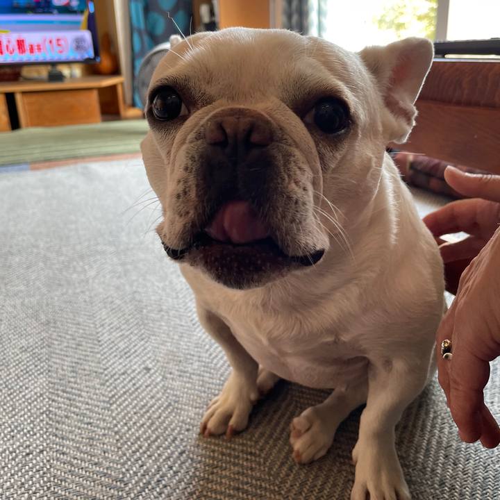 0de1c2f0 2b46 4db0 9f4b 7d352e51a8f6 1723031362613