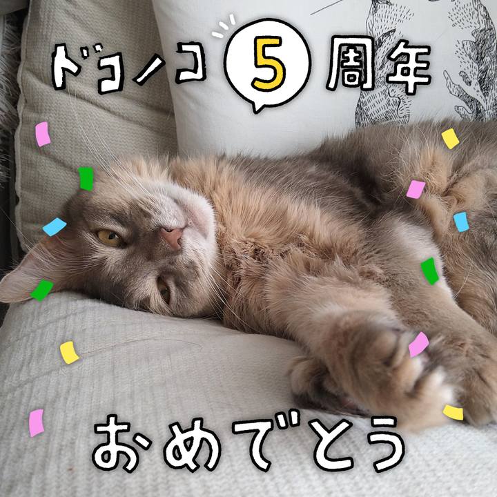 0de1f001 0eba 4fee 8fa4 395cdc902221 1622856568056