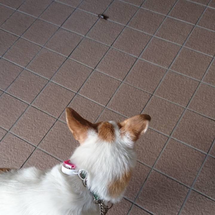 0de21fd3 e3fc 441b 97ca 04fc341bf625 1534467275120