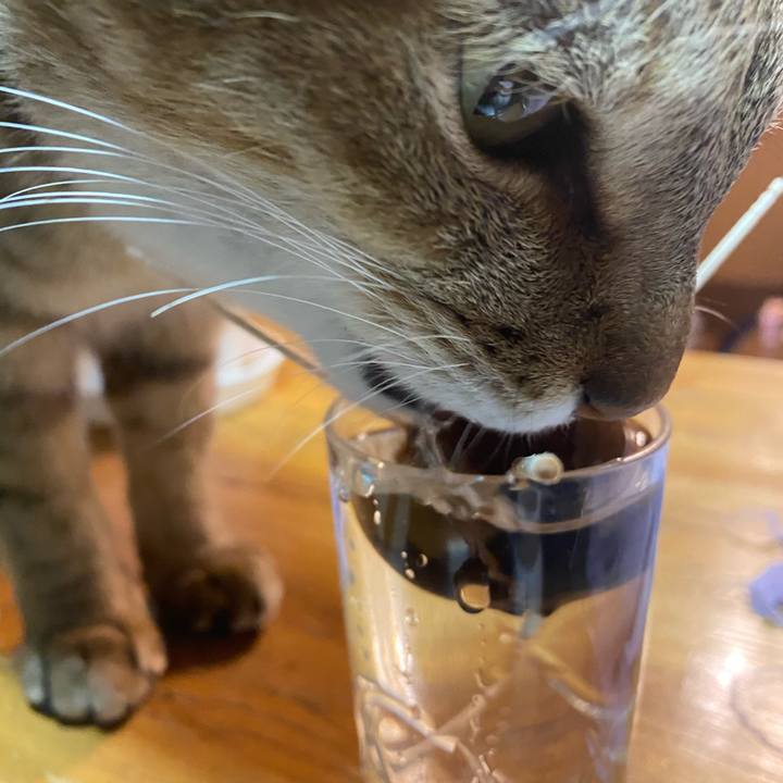 0de27261 dd85 4f76 a0b2 79958ffc334e 1611005967992