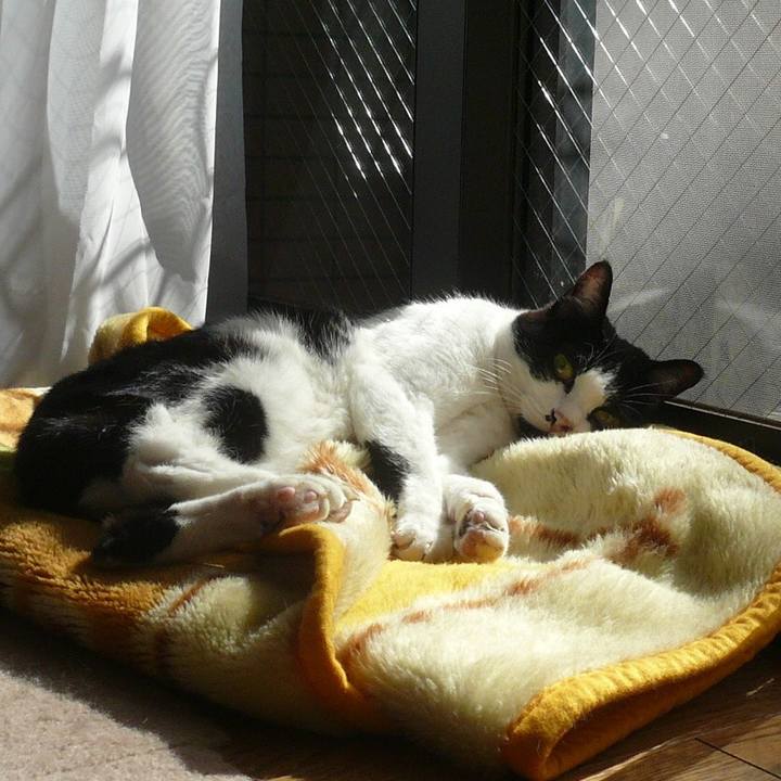 0de278f0 003b 4f4d a06e d854d4579eee 1580721000146