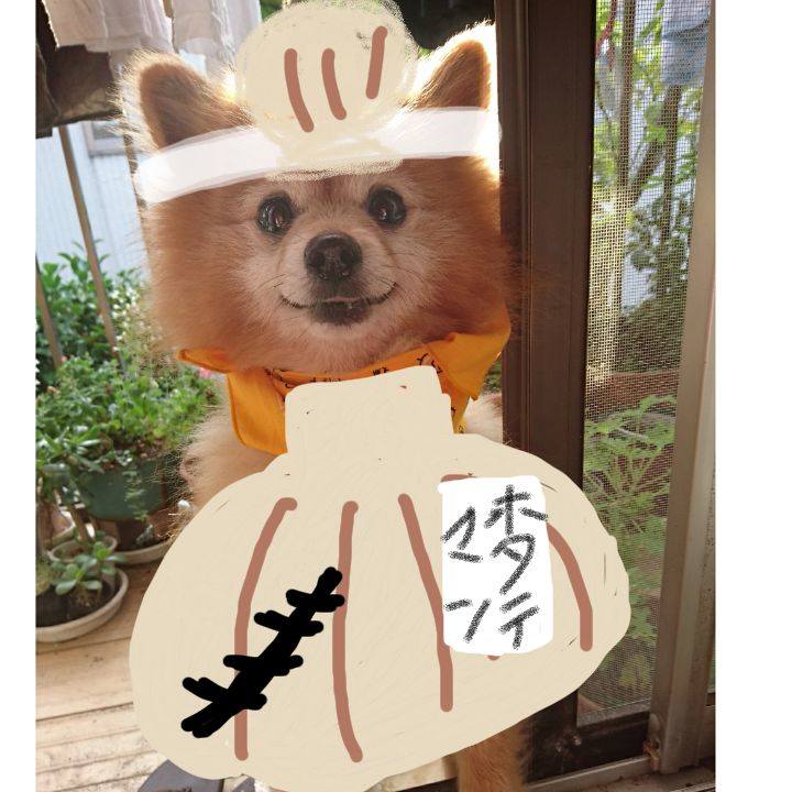 0de284a1 7fc8 45e0 83ad 427e12184578 1536362176219