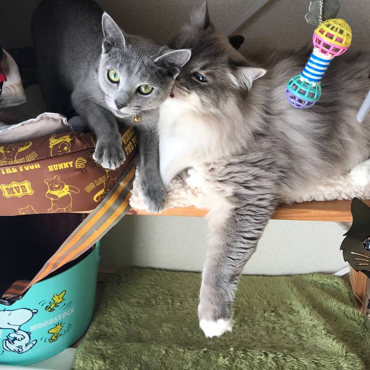 0de2c6c0 cb33 4d88 8b2d 8f04f27b33f2 1519943642158