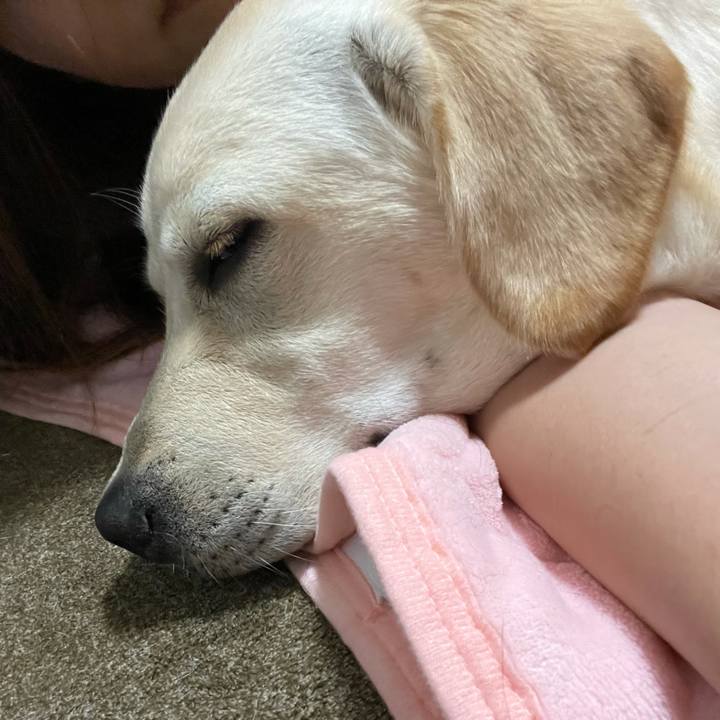 0de30366 c625 4cb9 b780 1d6a8ea524a9 1623505538053