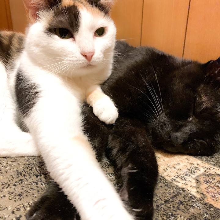 0de31611 a346 4159 8d2f ea54030b03bc 1567044139219