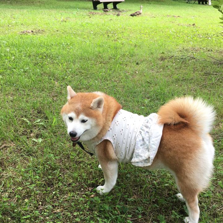 0de356dd f992 48e2 9cd9 45c85cf83155 1562823084983